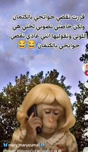 sanaa houari