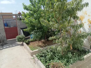 العطار يوسف