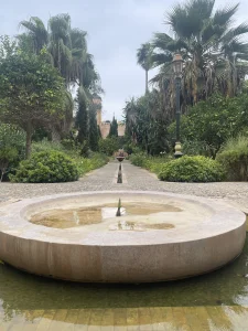 Zarazara