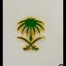 احمد صالح
