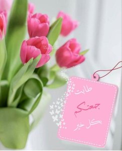 Mohieddin Alhlwani