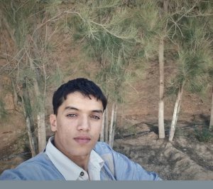 Walid bouzraa