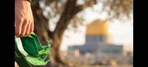 يوسف عبد الله