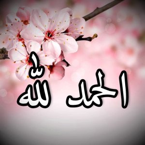 Mohammad Suleiman