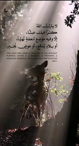 جمال