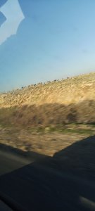 Ihssan Idrissi