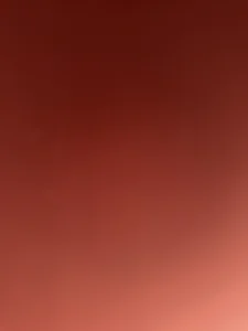 اباضةة