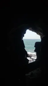 موني
