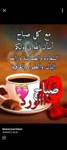 حمزة الفيلالي