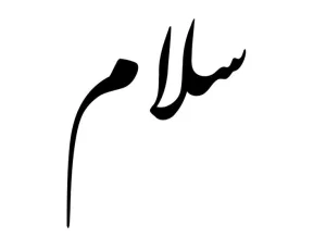 حميد حميد
