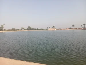 عروسة الشمال