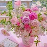 samir R