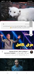 Lhami