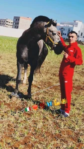 MOUSSA ZINEDINE